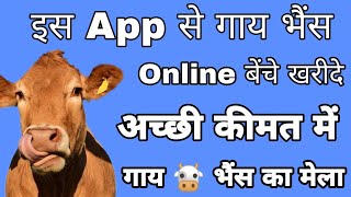भारत का No. 1 पशुमेला App, गाय, भैंस कम पैसे में खरीदे और ज्यादा पैसे में बेचे screenshot 5