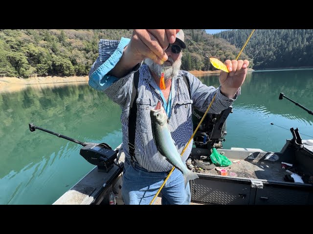 The Best Kokanee Leader Rig Storage – Gone Fishing Northwest