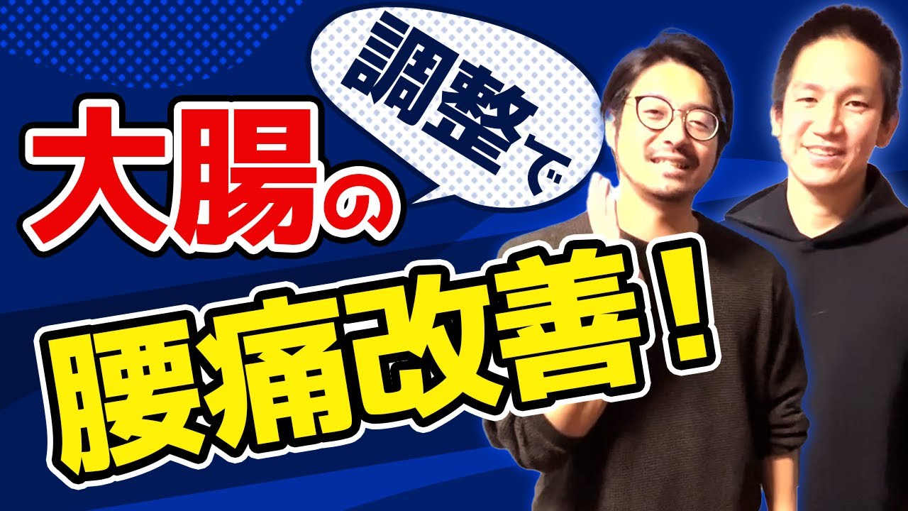 【内臓調整】腰痛に効果抜群！上行結腸・下行結腸に対するアプローチ