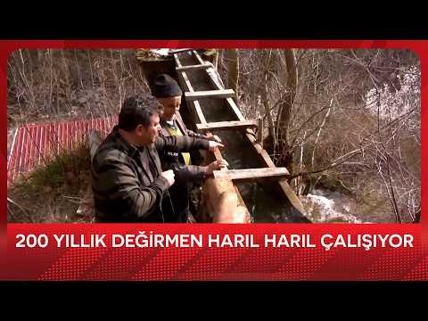 200 Yıllık Değirmen Harıl Harıl Çalışıyor #harunşen