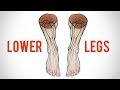 How to Draw the Lower Leg - Anatomy for Artists