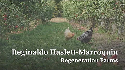 Regenerative Poultry: An Indigenous Perspective - Reginaldo Haslett-Marroquin, Regeneration Farms