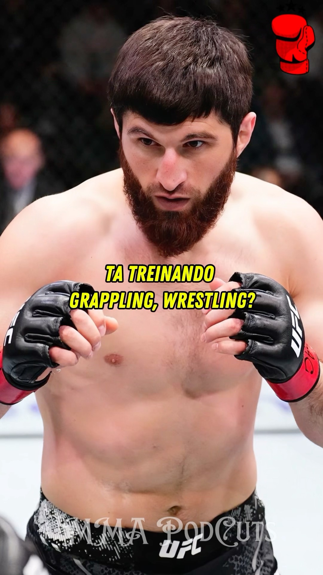 ANKALAEV TA TREINANDO WRESTLING PRO POATAN #mma #luta #boxe #ufc #shortsfeed #brasil #foryou