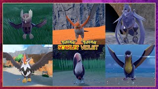 Pokemon Scarlet Violet All Regional Bird Locations