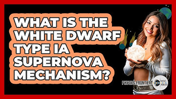 What Is The White Dwarf Type Ia Supernova Mechanism?