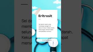  Eritrosit Pengangkut Oksigen Jaga Vitalitas  Istilah Medis  Eritrosit