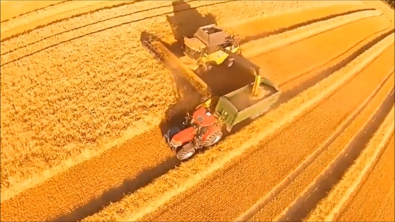 EKMEĞİN SERÜVENİ