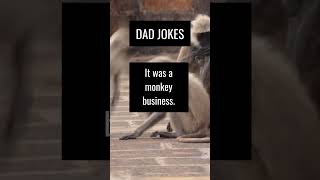 Download Lagu They may want to start a band #dadjokes #puns #daddyjokester #quickdadjokes #shorts MP3