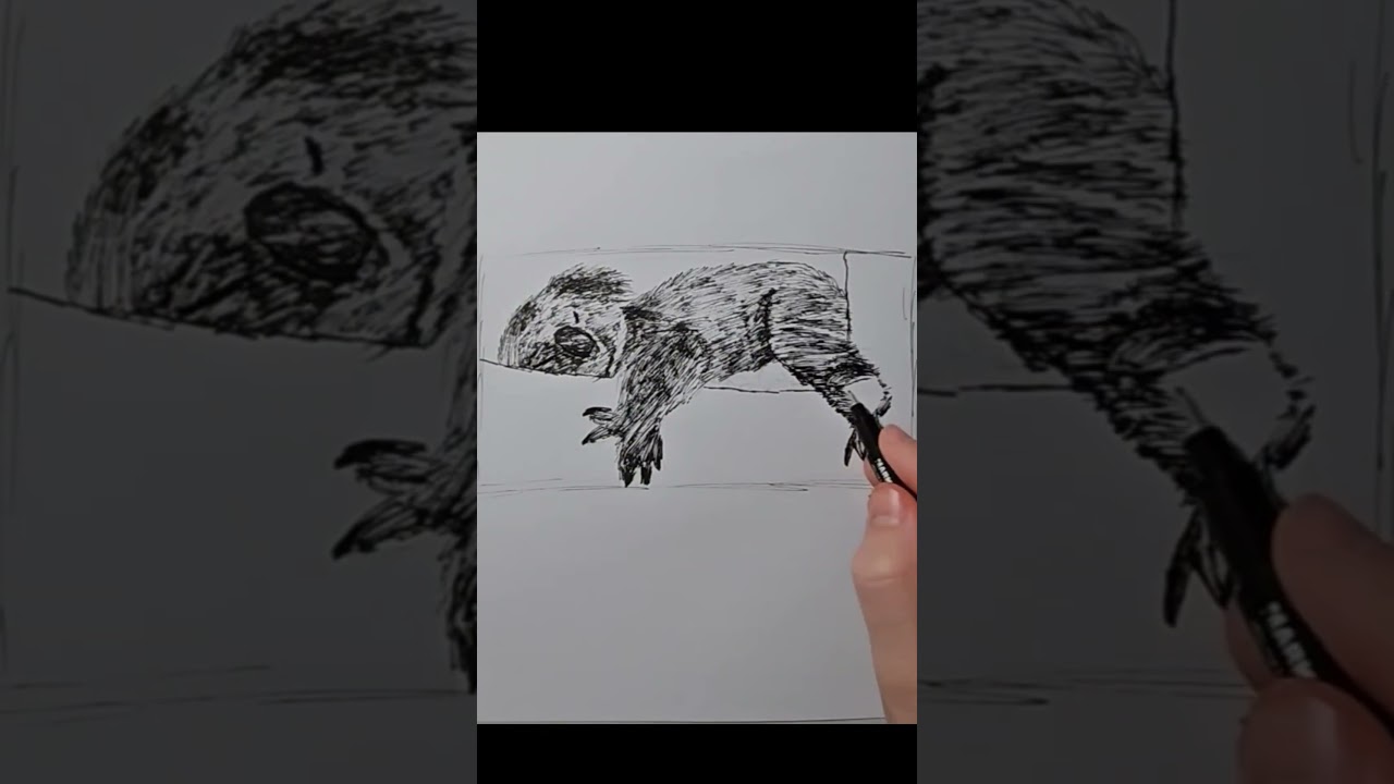 Drawing a cute Koala! 