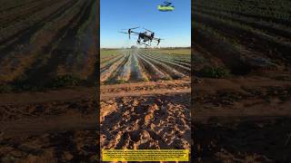 This Farming Drone Sprays an Entire Field Without a Driver! 🚁🌱