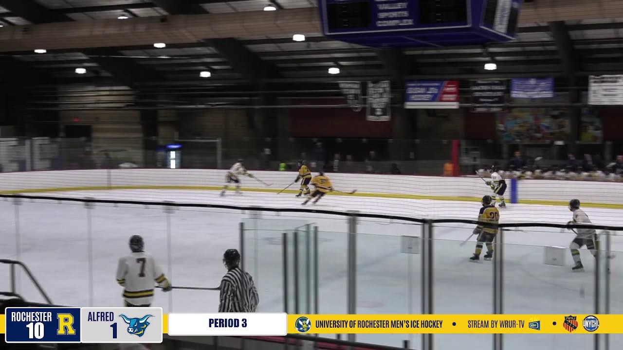 Hockey 2/9 v. Alfred University