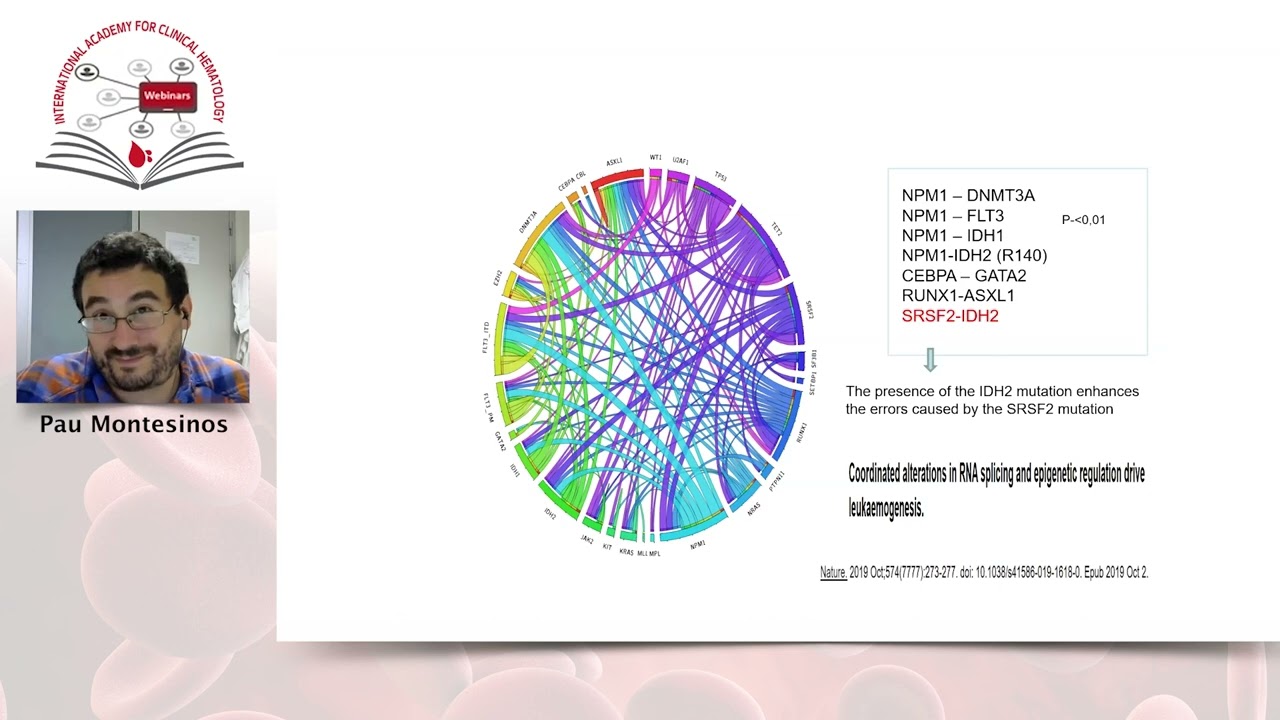 IDH inhibitors in relapsed/refractory AML