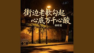 街边老歌勾起心底万千心酸 - 林昕瑶