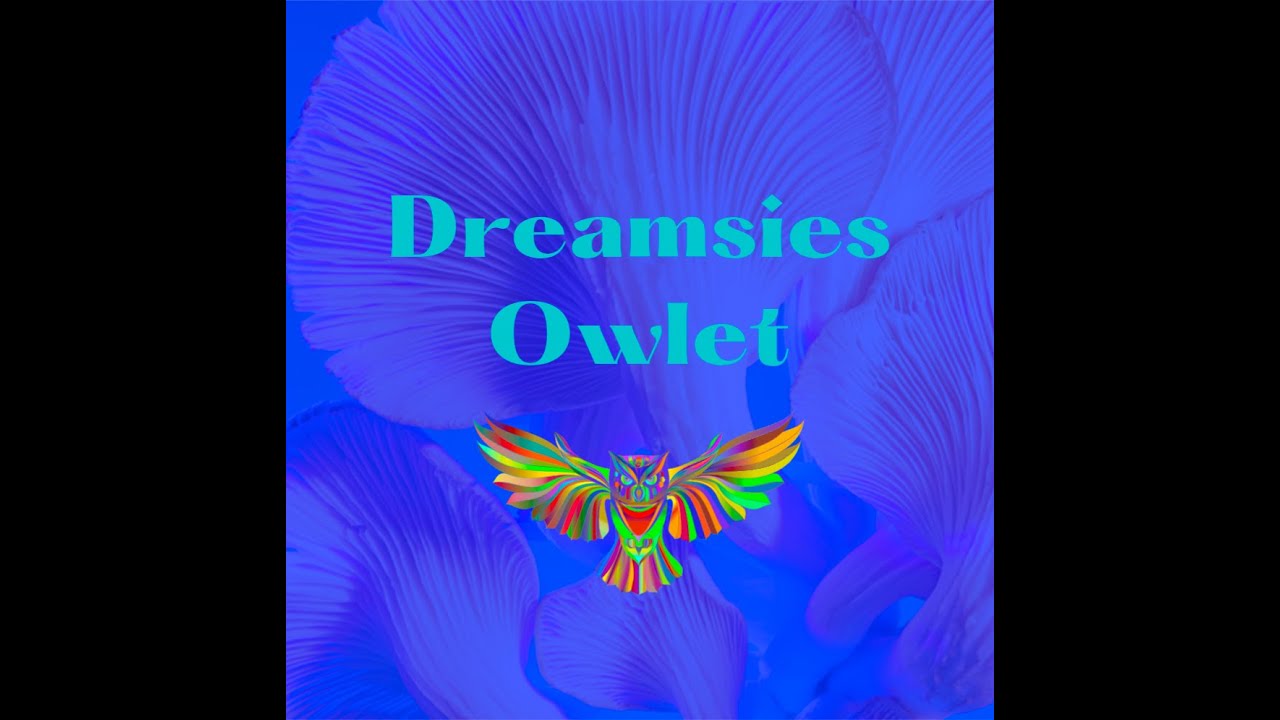 Super Market  together