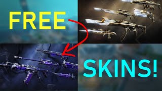 I coded a VALORANT SKIN MOD to get free skins..