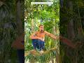 An Unbelievable Method of Catching a Parrot #comedy #funny #birds