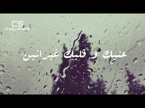عايز الحقيقة حالات واتس أب عمرو دياب