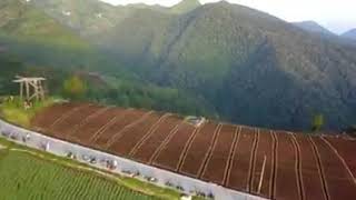 Story WA Jalan Mbawang Batang Arah Dieng#Batang#dieng