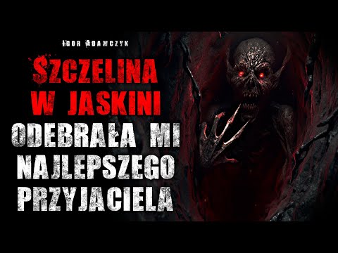 Wideo: Leptospiroza psów