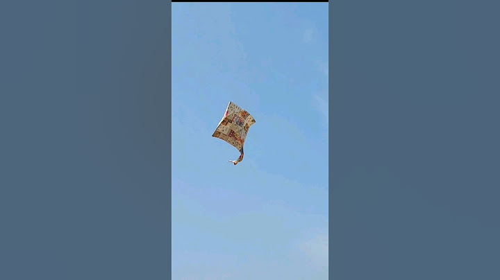 WE MADE WORLD'S BIGGEST KITE (Patang) 😍 #shorts #pkcrazyexperiments