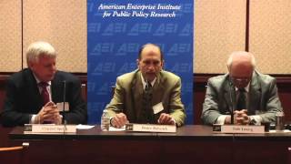 The 2013 Farm Bill: What should farm subsidy programs look like over the next five years?
