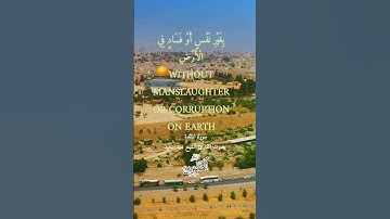 القارئ الشيخ سيد سعيد ♥️ وتلاوة خاشعة من سوره المائده 🤲 اللهم النصر القريب 🤲 #قرآن #قران_كريم #quran