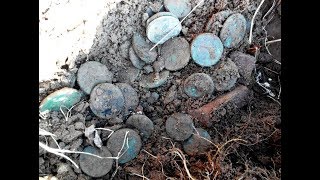 Клад монет, В 30 кг, 2017, The treasure of coins, At 30 kg