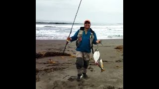 PESCA con señuelo de "LUCA" en PLAYA LAS BRISAS !!!,SEMANA SANTA CORVINAS Y LENGUADOS 🎣🎣🎣me raje
