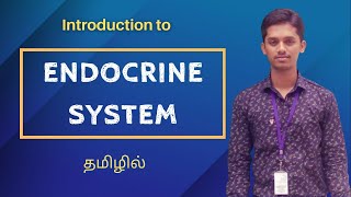 Endocrine System - Introduction in Tamil