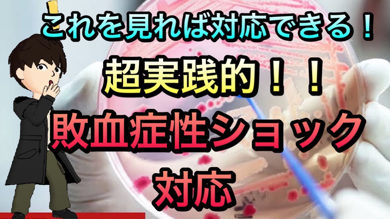 【当直救急】これで怖くない！敗血症ショック対応　輸液カテコラミン抗生剤
