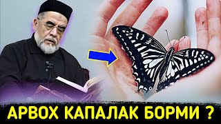 АРВОХ КАПАЛАК БОРМИ ? °ШАЙҲ МУХАММАД СОДИҚ МУХАММАД ЮСУФ ҲАЗРАТЛАРИ