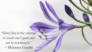 Two Quotes A Day! September 18 2020 || Inspiring Quotes || Motivational Quotes