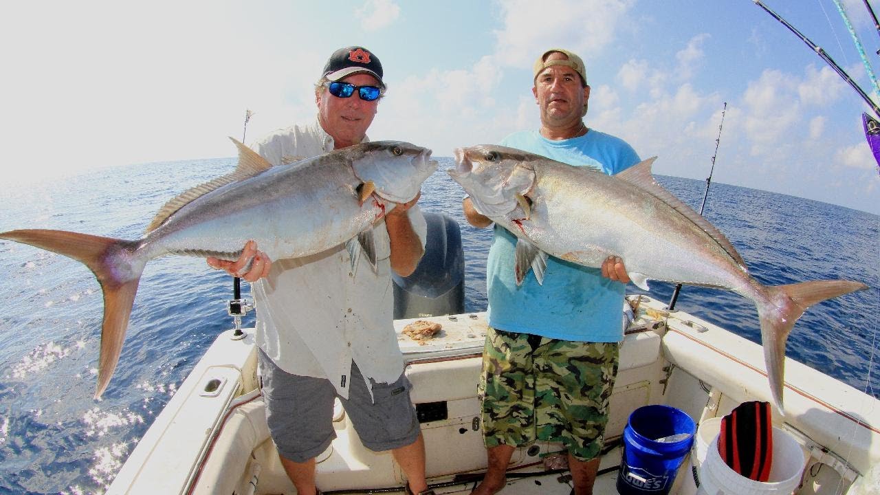 Perremo Fish 2020Oct15 AJ & Scamp Grouper FH7 MP198 MP279 with PrimoFish - YouTube