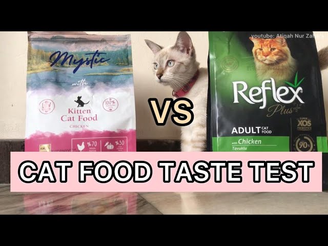 CAT FOOD TASTE TEST: MYSTIC KITTEN CHICKEN VS REFLEX PLUS ADULT 