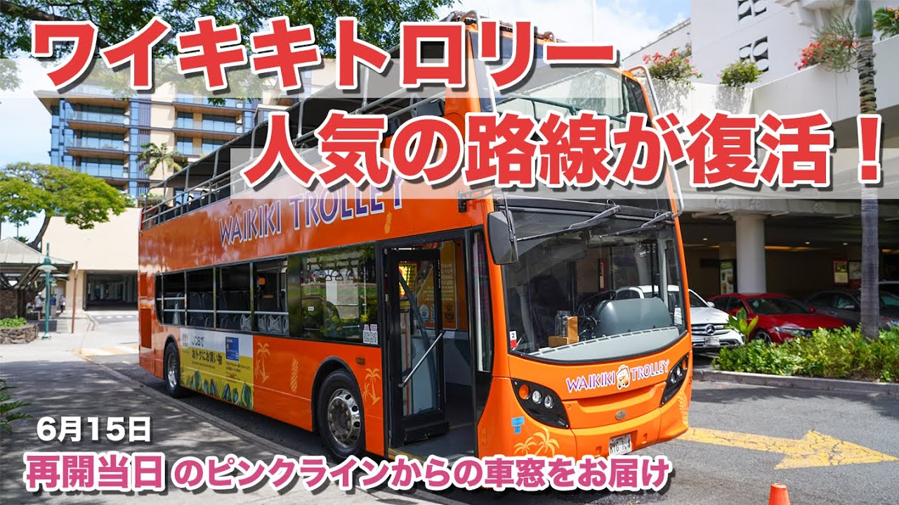 Waikiki Trolley Pink Line Is Back Enjoy The Ride With Us Youtube