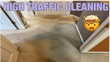 This is how we clean high traffic spots on the carpets