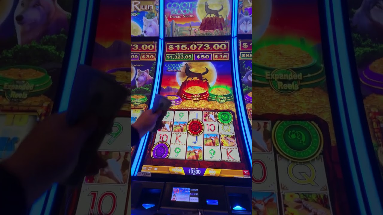 Coyote moon juegos gratis 