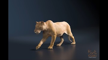 Houdini vellum tissue simulation