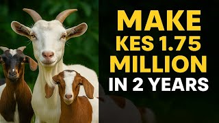 How 100 Goats Can Earn You KES 1.75M in Just 2 Years: A Step-by-Step Guide - Project Projection Net Worth