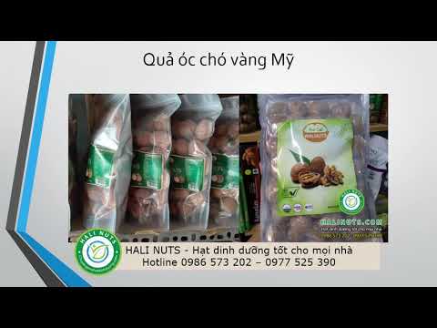 HaliNut.com - Dinh