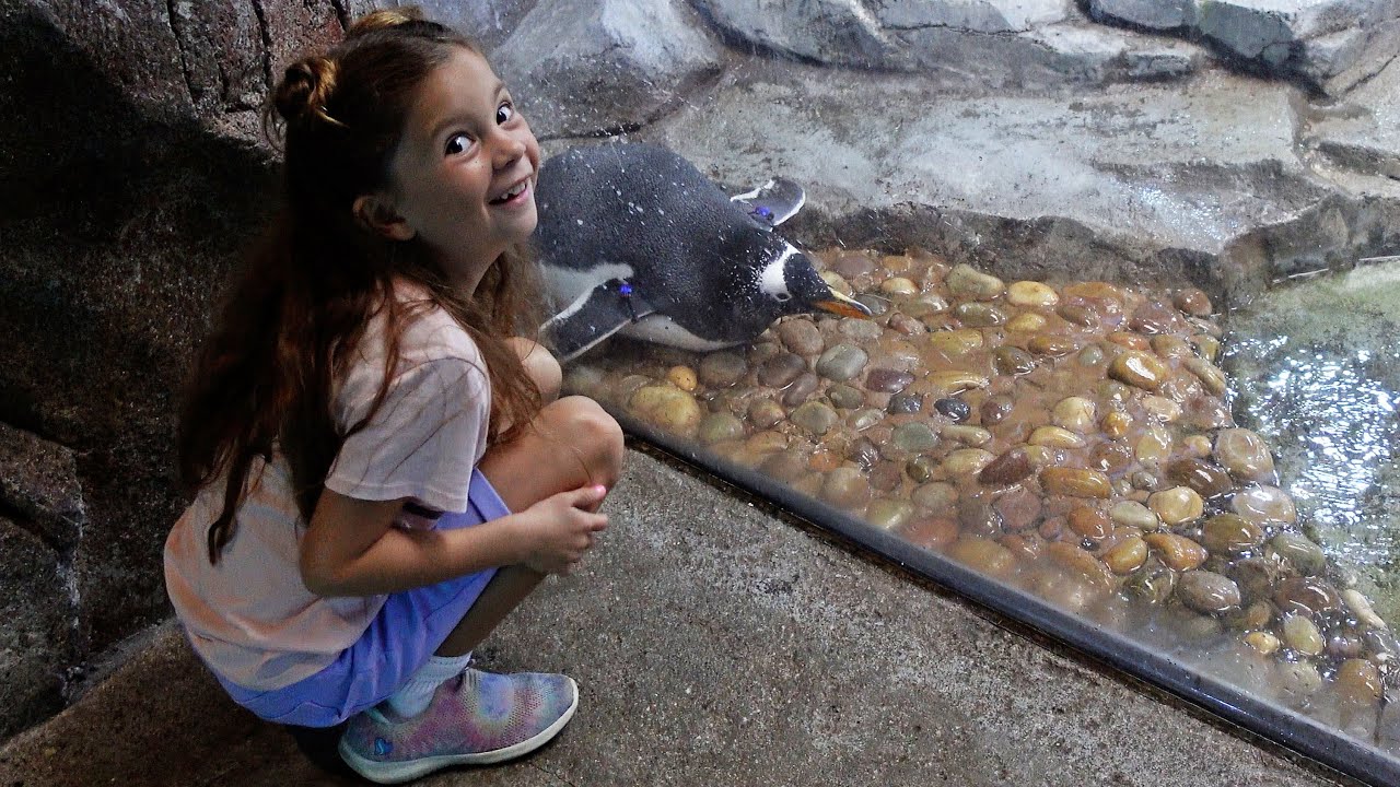 Day At The Detroit Zoo YouTube