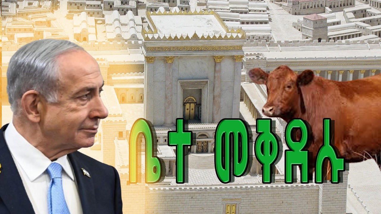 ቤተ መቅደሱ/The temple/