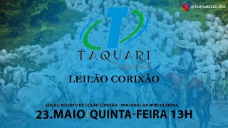 LEILÃO CORIXÃO TAQUARI LEILÕES/MS - PANTANAL DA NHECOLÂNDIA/MS -  RURAL PLAY