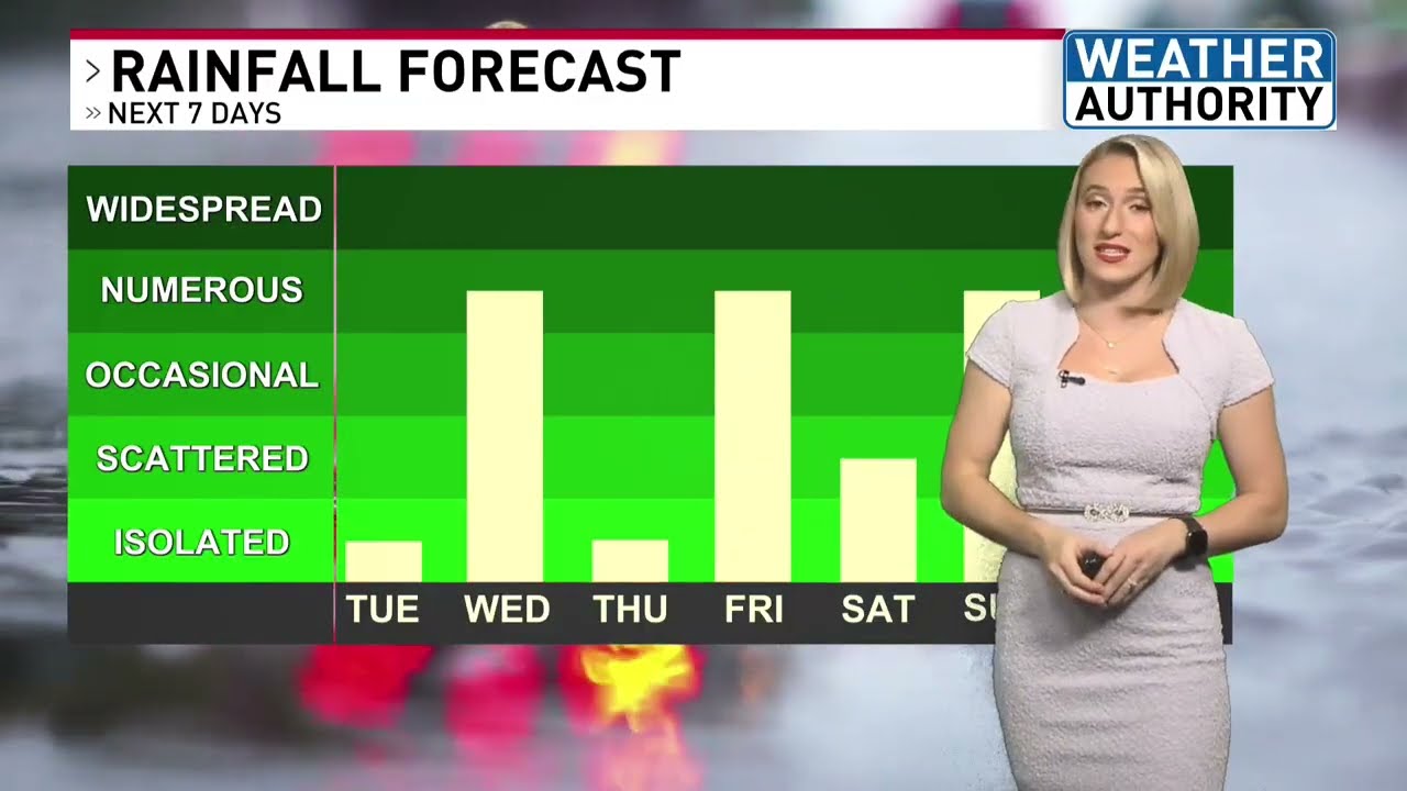 Несколько заболоченных систем и сильный ветер!