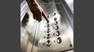Sprightly Elevators