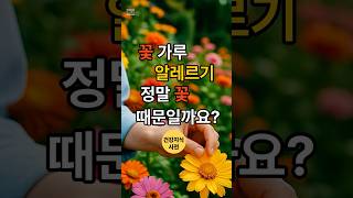 꽃가루 알레르기, 진짜 꽃 때문일까?