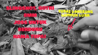 Slingshot Membasmi Hama tupai, Gotri 8mm.