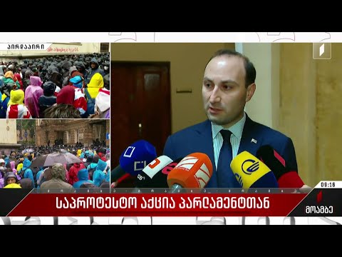 ვითარება პარლამენტთან, საპროტესტო აქციაზე - ანრი ოხანაშვილის განცხადება