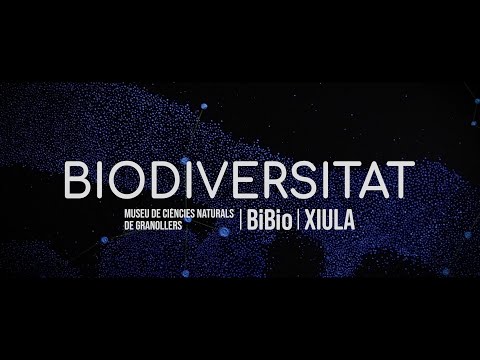 Vídeo: Com es veu afectada la biodiversitat per les activitats humanes?