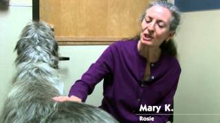 Client Testimonials